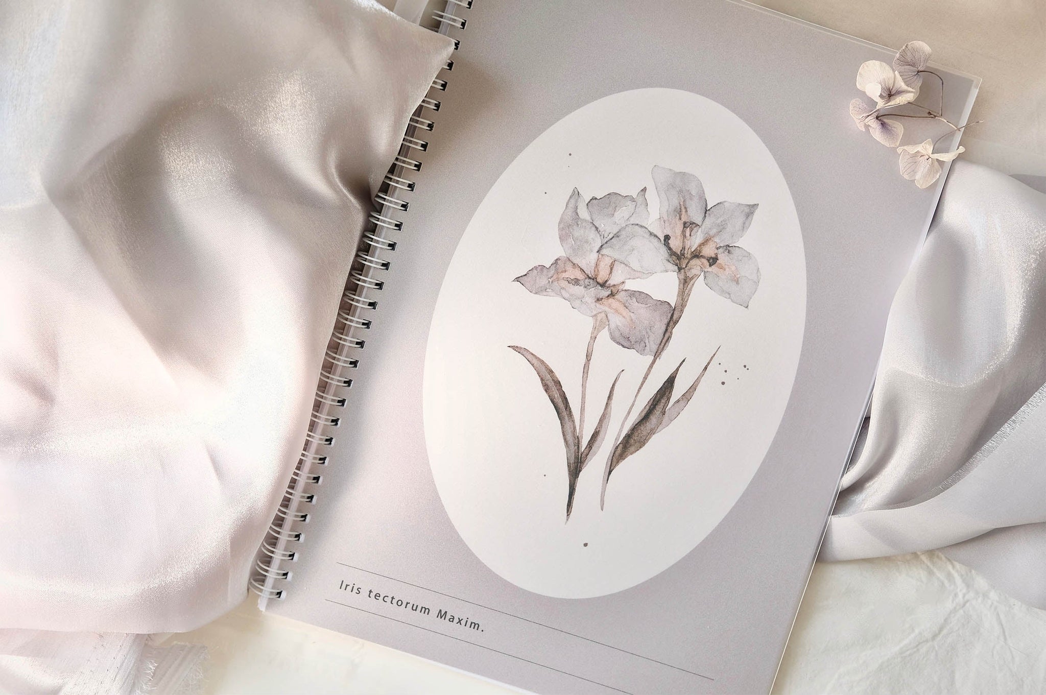 Freckles Tea VOL. 3: Washi Collecting Notebook