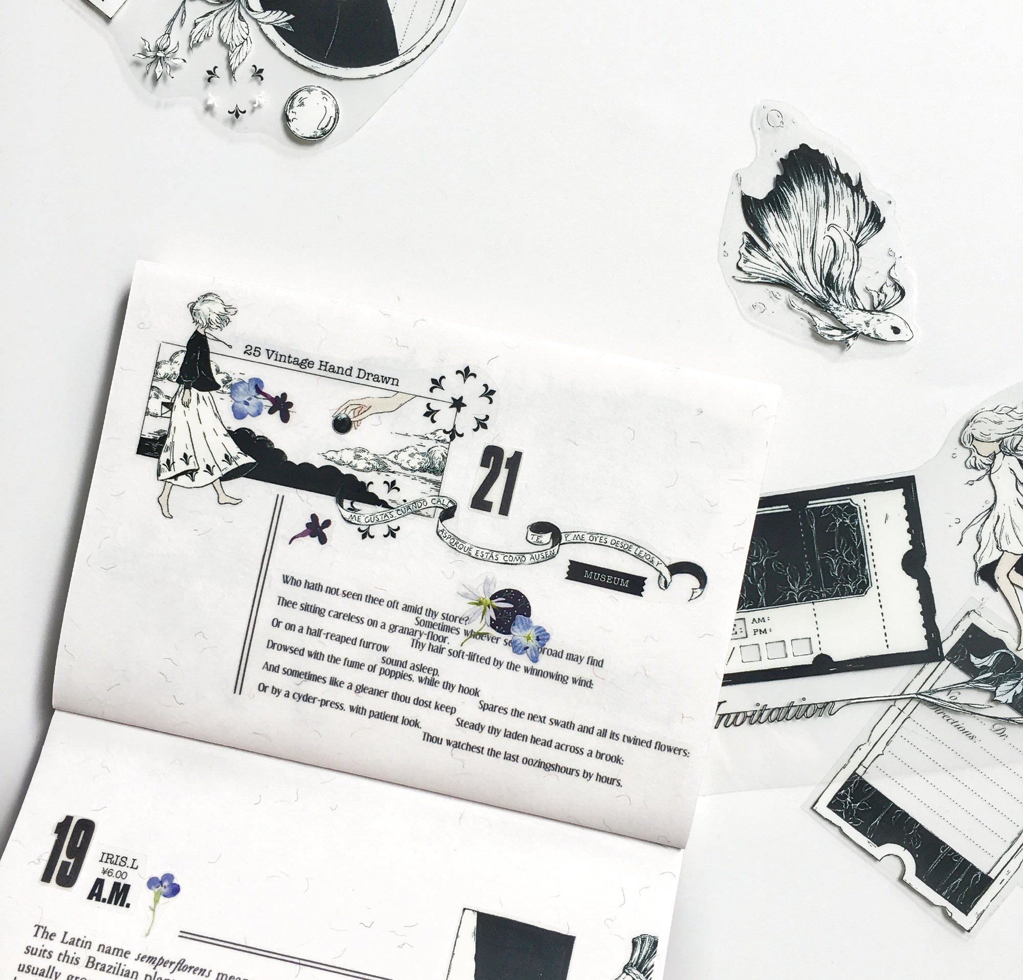 Moodtape: A Letter from the Iris Clear Tape