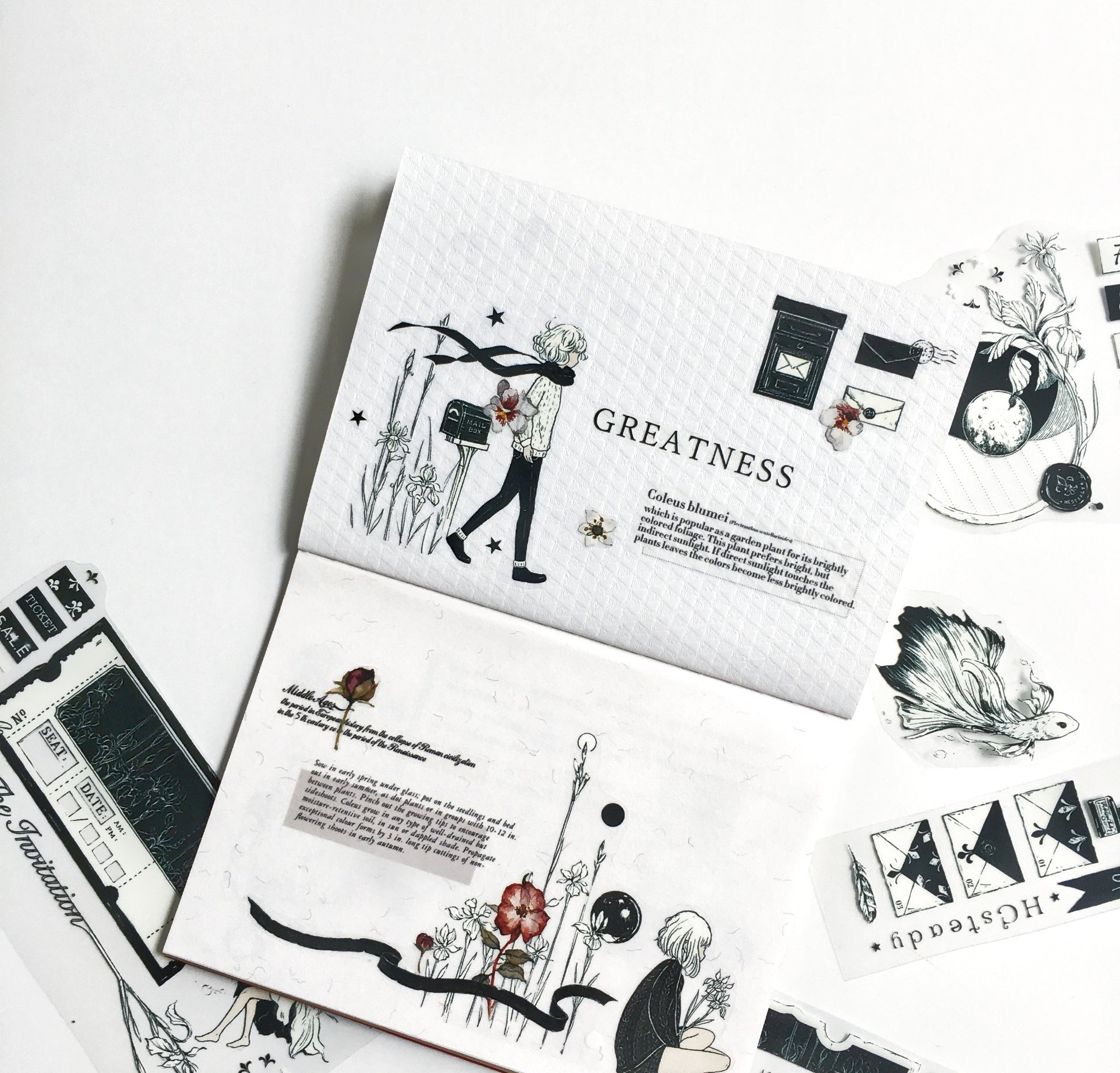 Moodtape: A Letter from the Iris Clear Tape