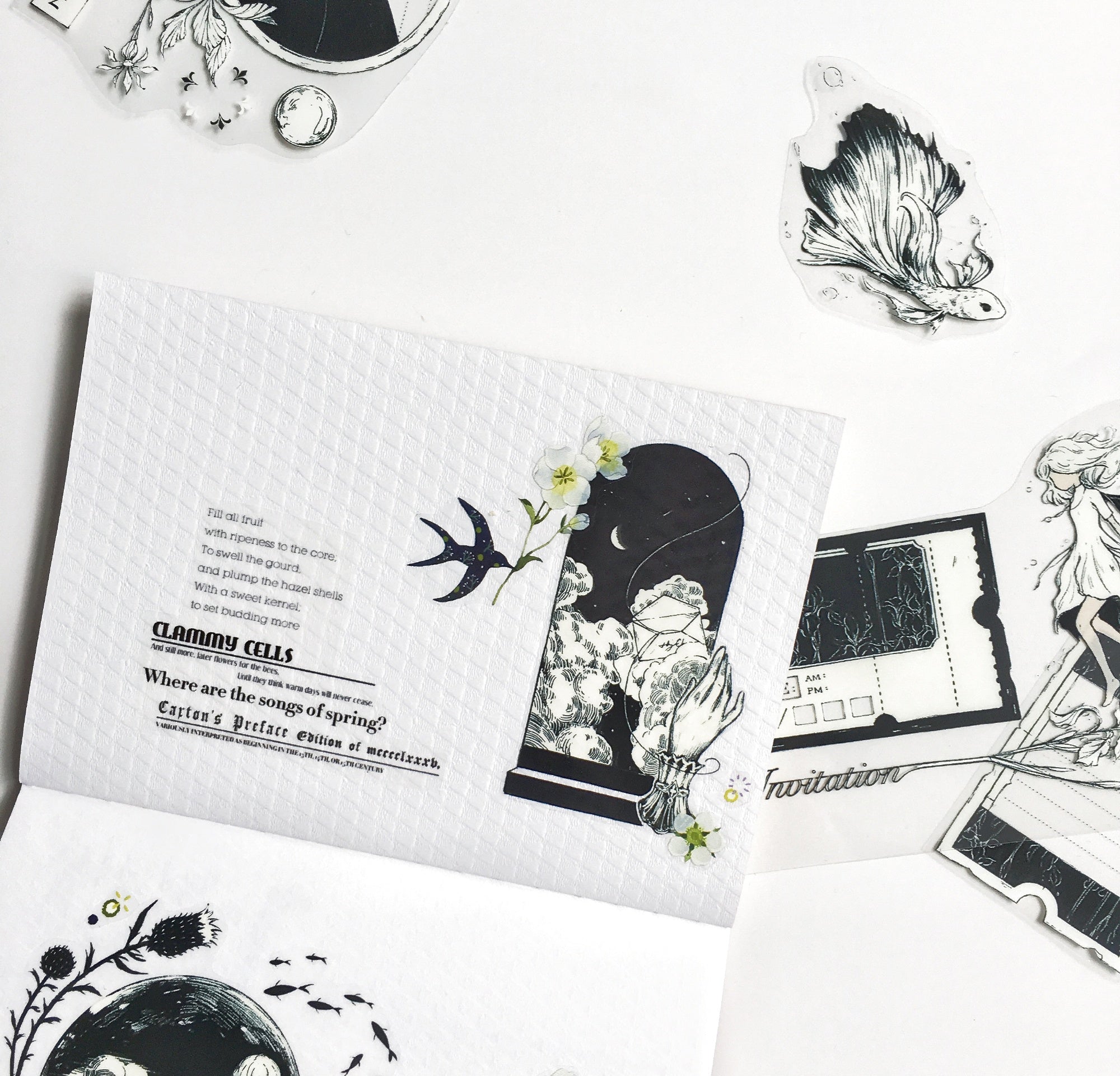 Moodtape: A Letter from the Iris Clear Tape