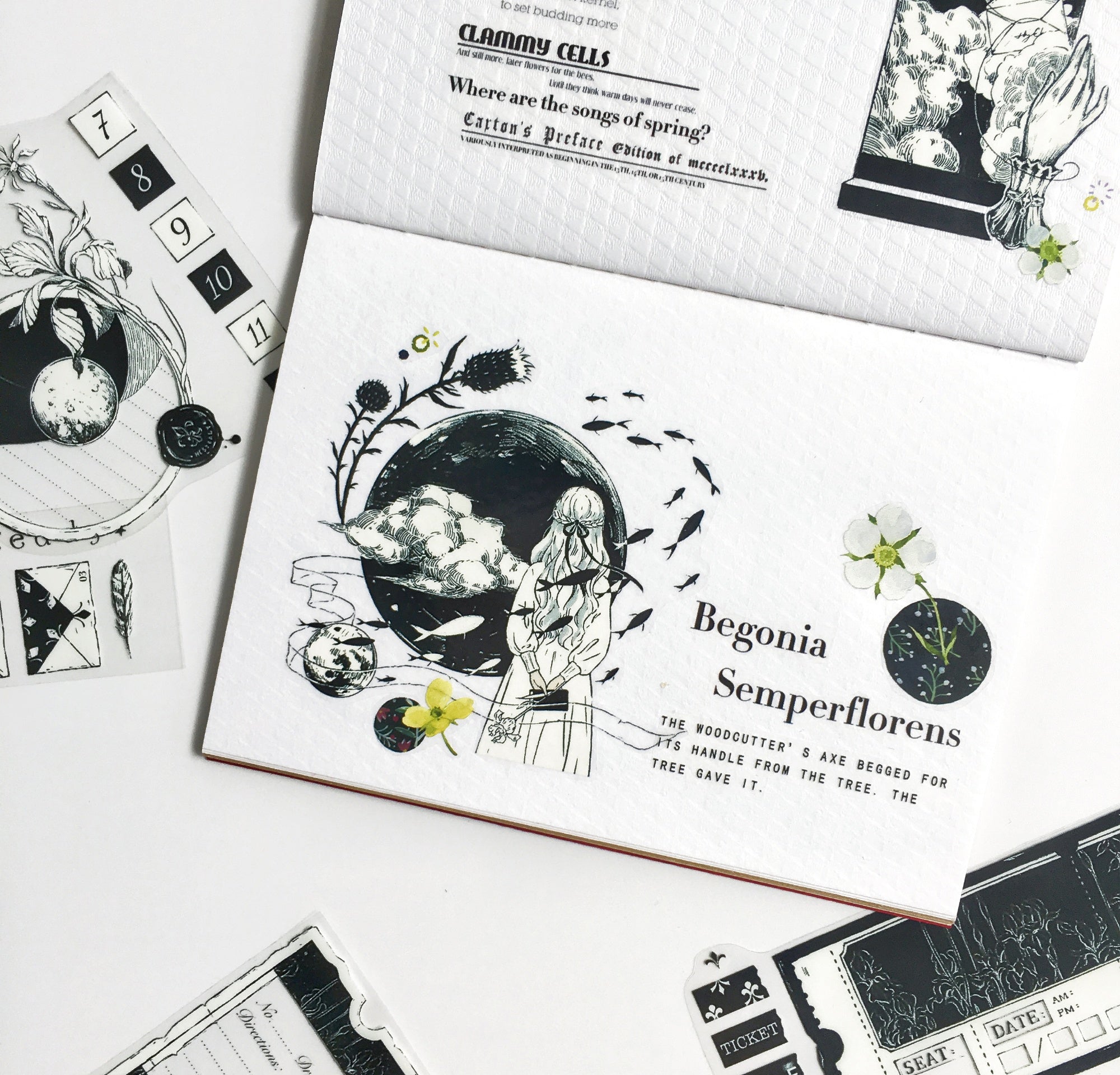 Moodtape: A Letter from the Iris Clear Tape