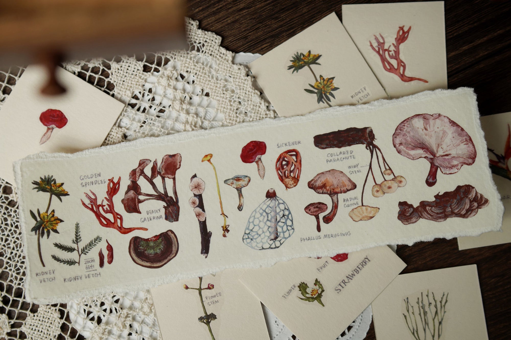 Benchu Studio Tape Sample: Botanist Series