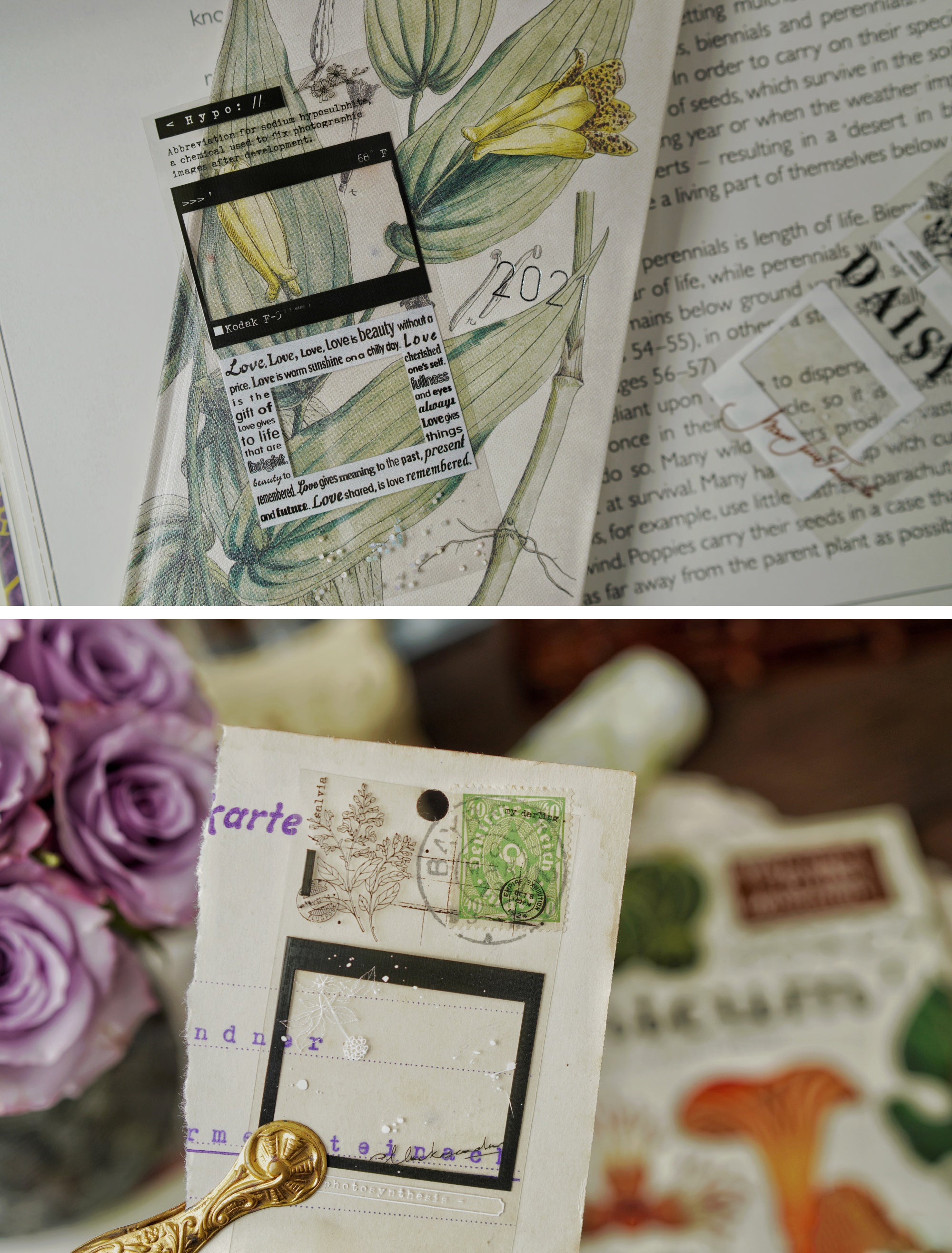 Benchu Studio Masking Tape: Photosynthesis