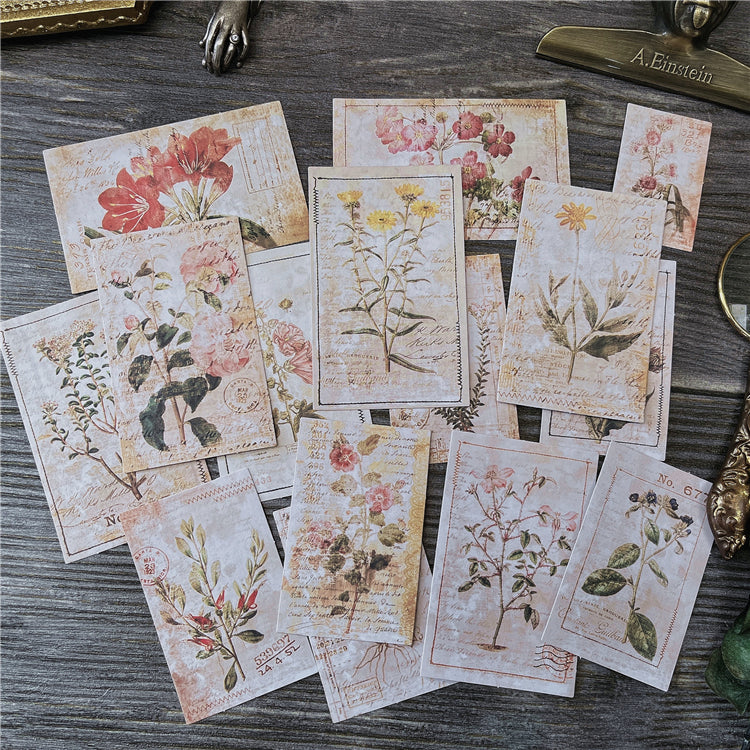Botanical Illustrations Stickers Pack