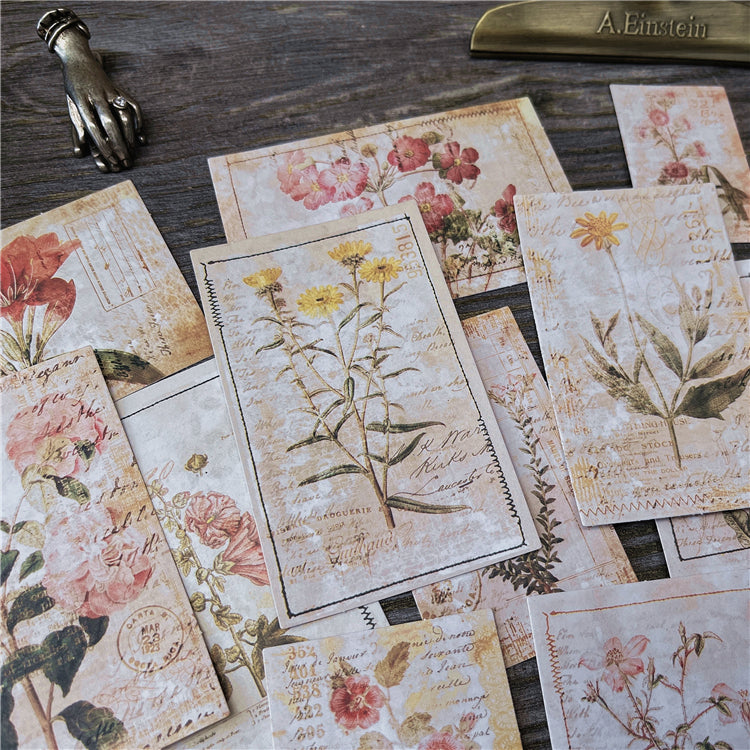 Botanical Illustrations Stickers Pack