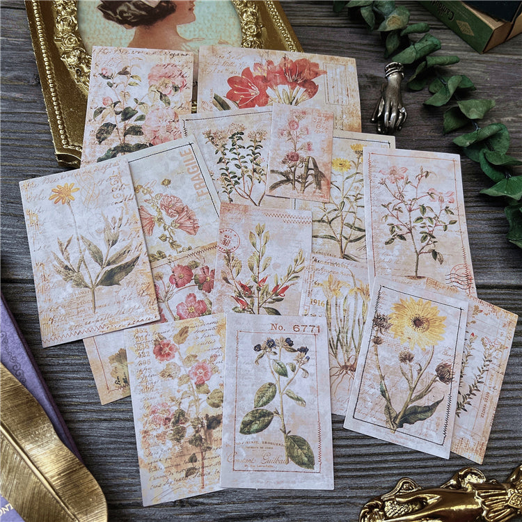 Botanical Illustrations Stickers Pack