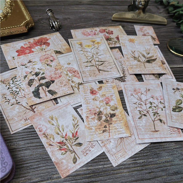Botanical Illustrations Stickers Pack