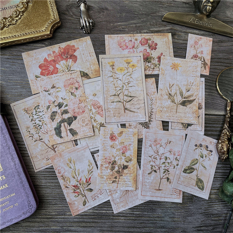 Botanical Illustrations Stickers Pack