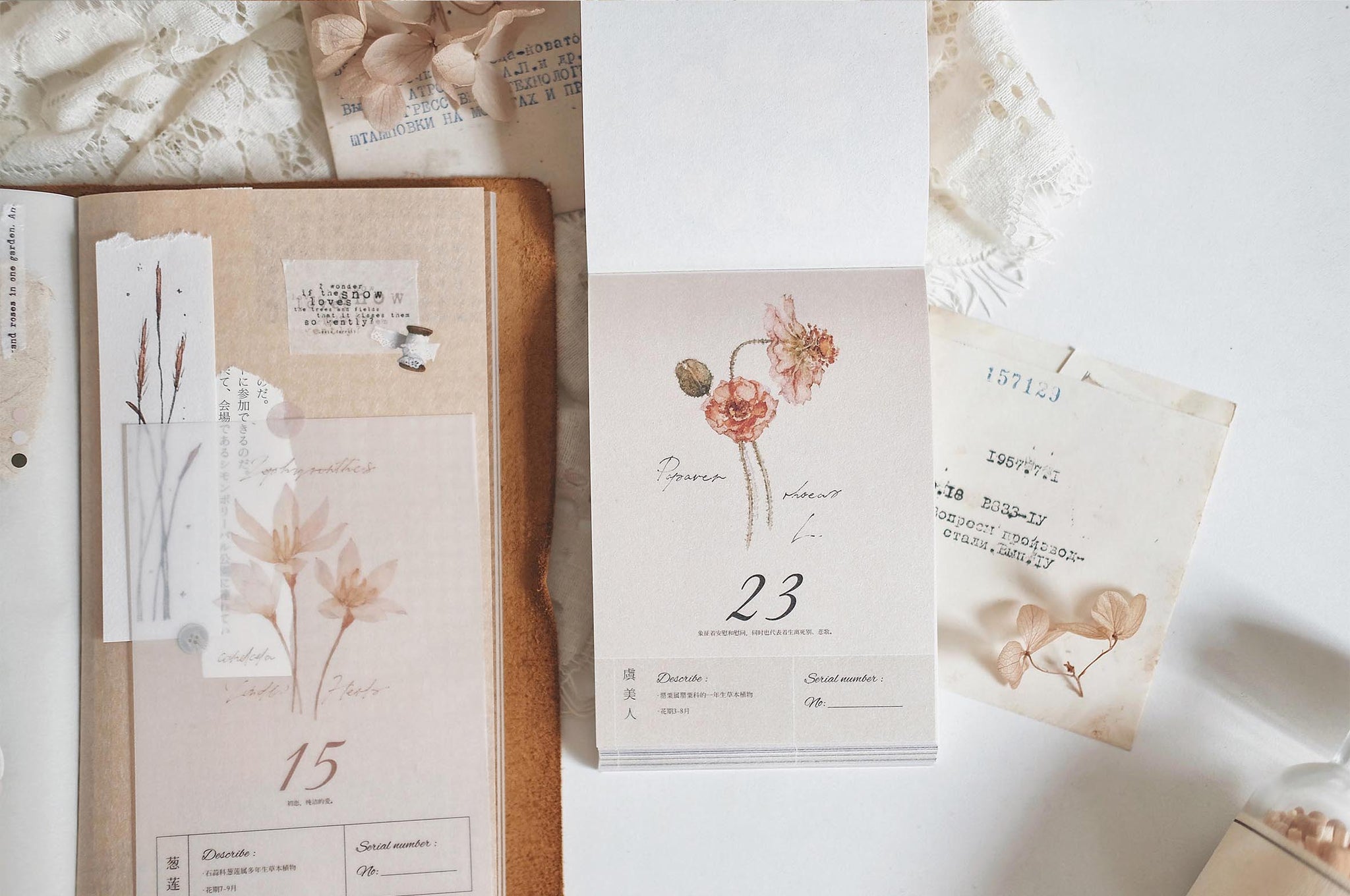 Freckles Tea Calendar: Flower Illustration