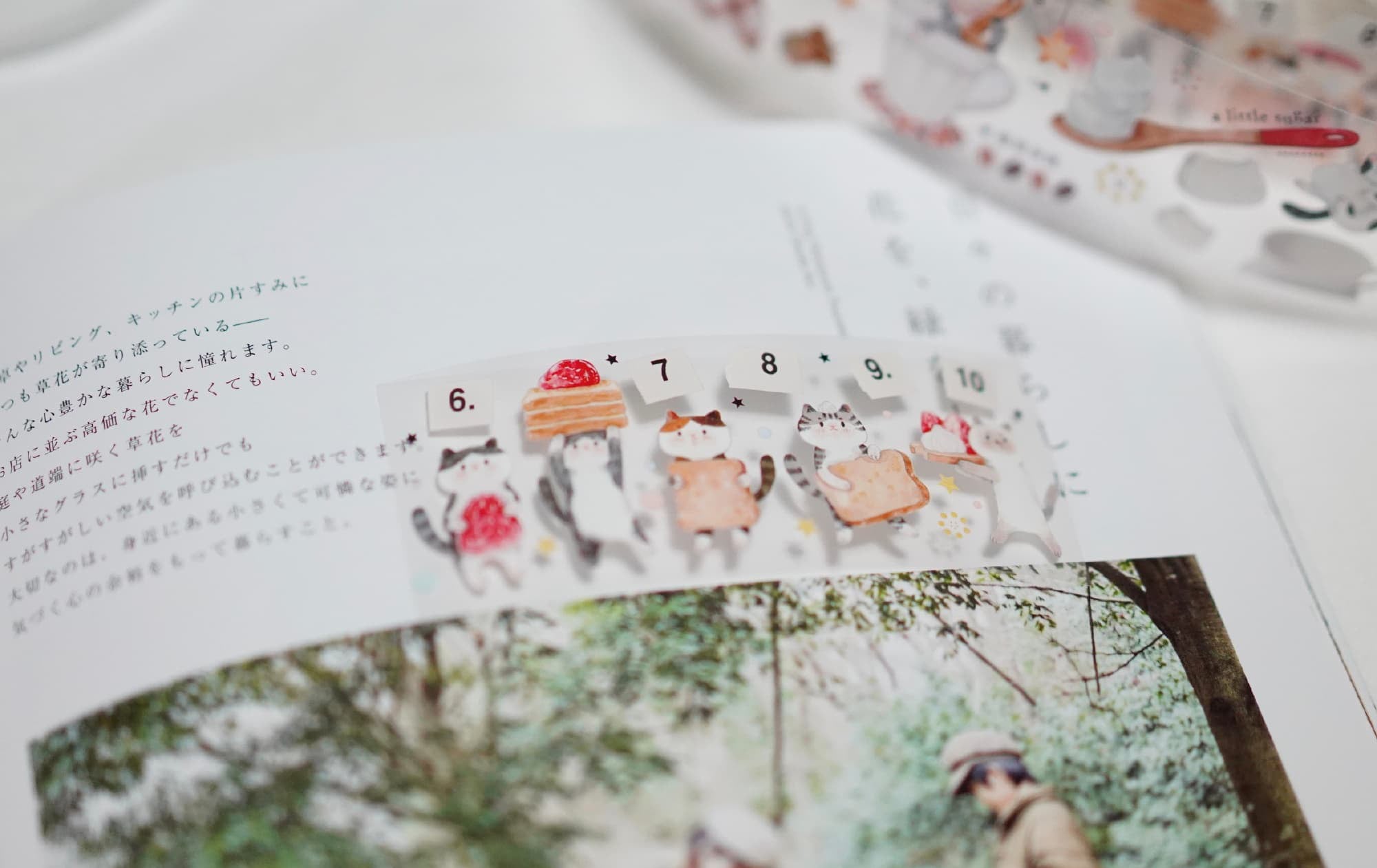 Tang Yuan Masking Tape: Cat's Afternoon Tea Time