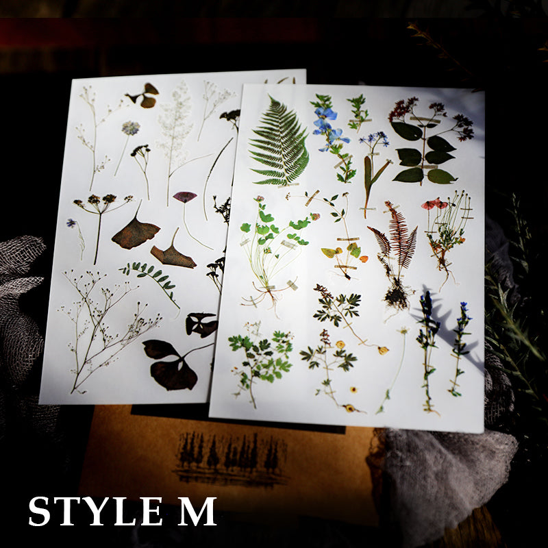 Botanical and Vintage Themed Rub On Stickers