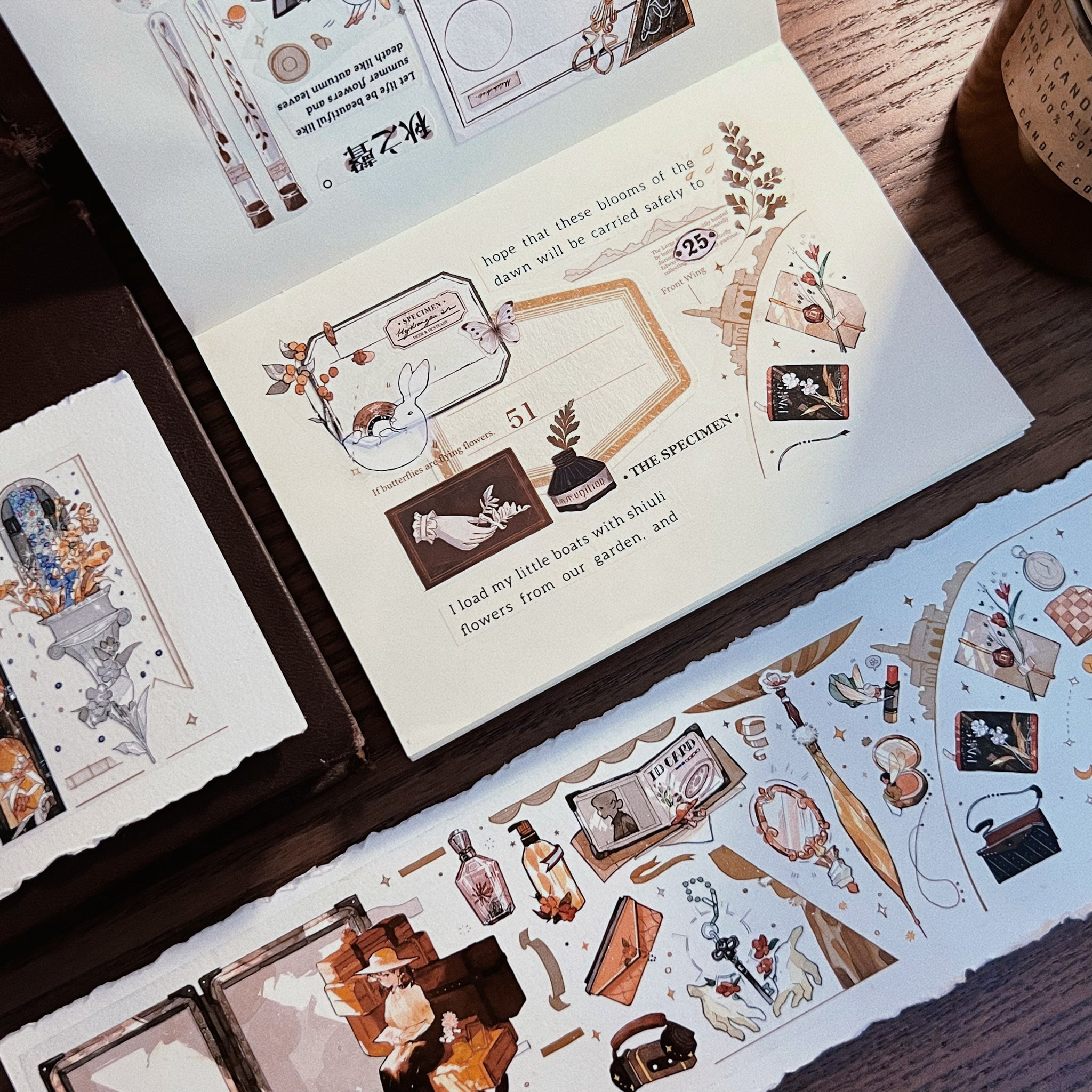 Deer Studio Masking Tape: Light and Shadows Emporium