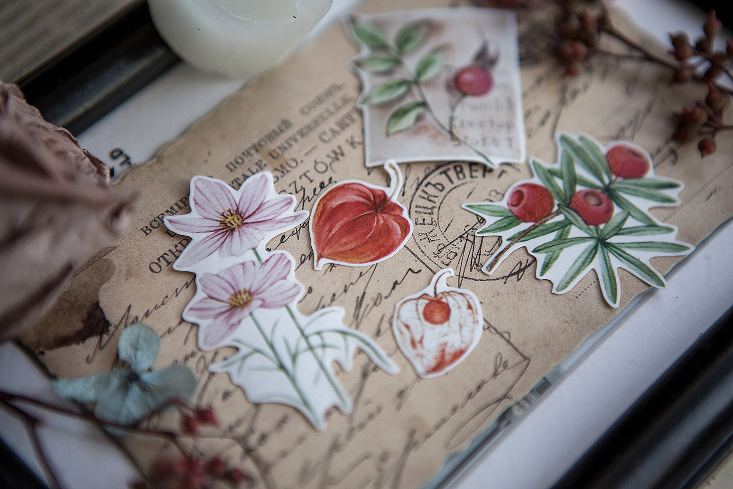 Doolittle's Garden 2 Sticker Sheet: Damia