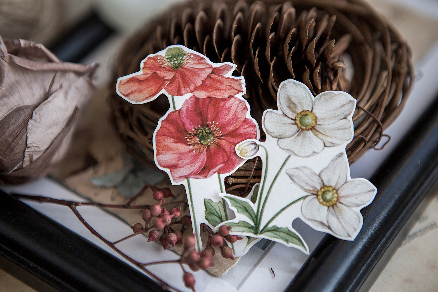 Doolittle's Garden 2 Sticker Sheet: Damia