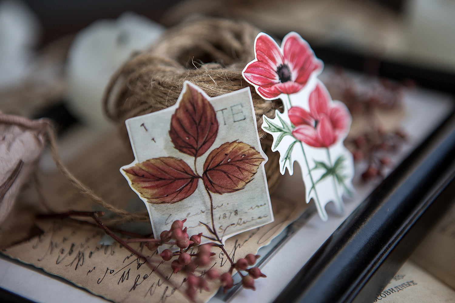 Doolittle's Garden 2 Sticker Sheet: Damia