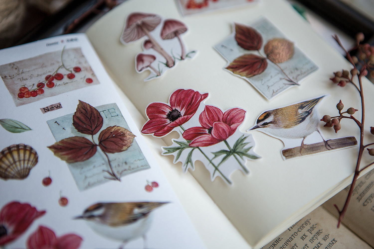 Doolittle's Garden 2 Sticker Sheet: Damia