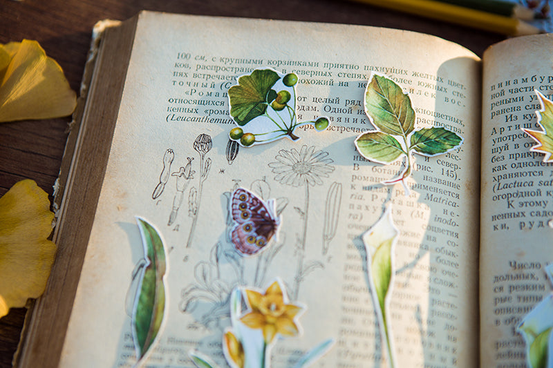 Doolittle's Garden Sticker Sheet: Judith
