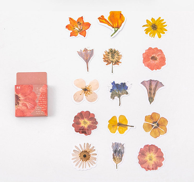 Pressed Flowers Box Stickers Set 2