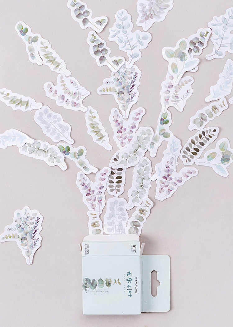 Eucalyptus Box Sticker Set