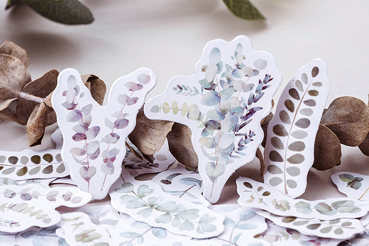 Eucalyptus Box Sticker Set
