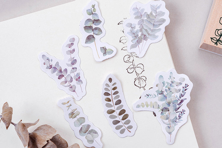 Eucalyptus Box Sticker Set