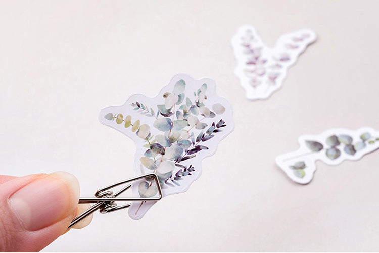 Eucalyptus Box Sticker Set
