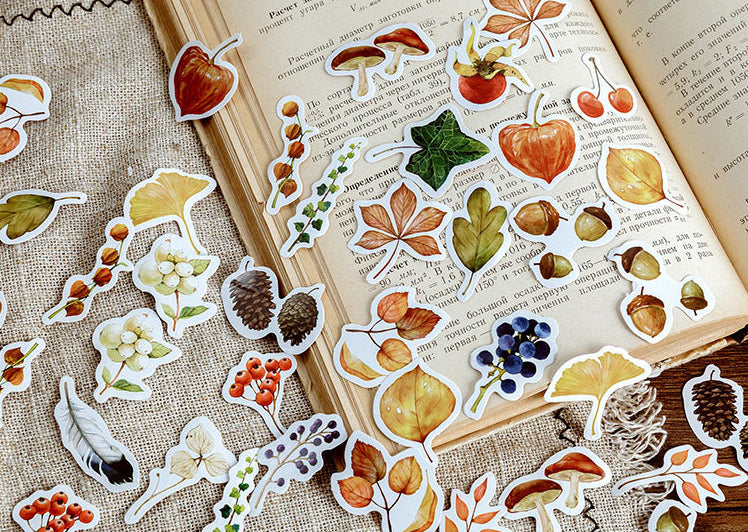 Fall Foliage Box Sticker Set