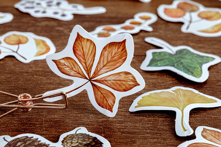 Fall Foliage Box Sticker Set