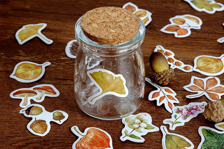 Fall Foliage Box Sticker Set