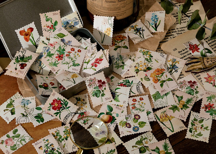Forest Password Box Sticker Set