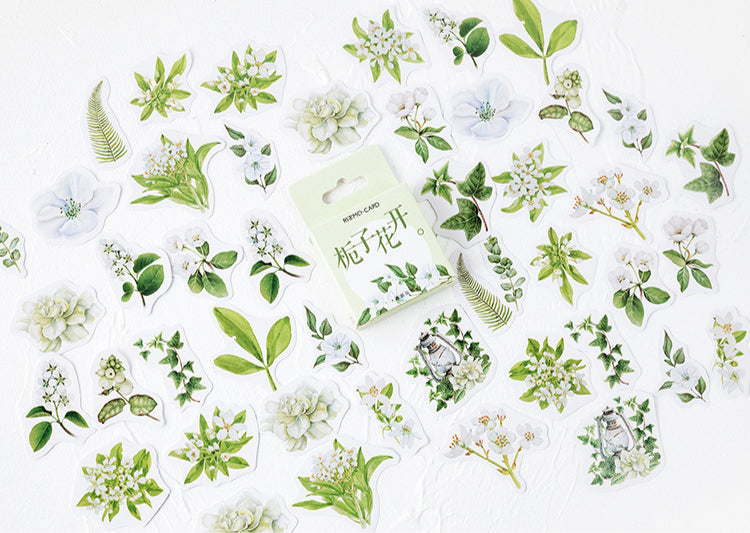 Gardenia Flowers Box Sticker Set
