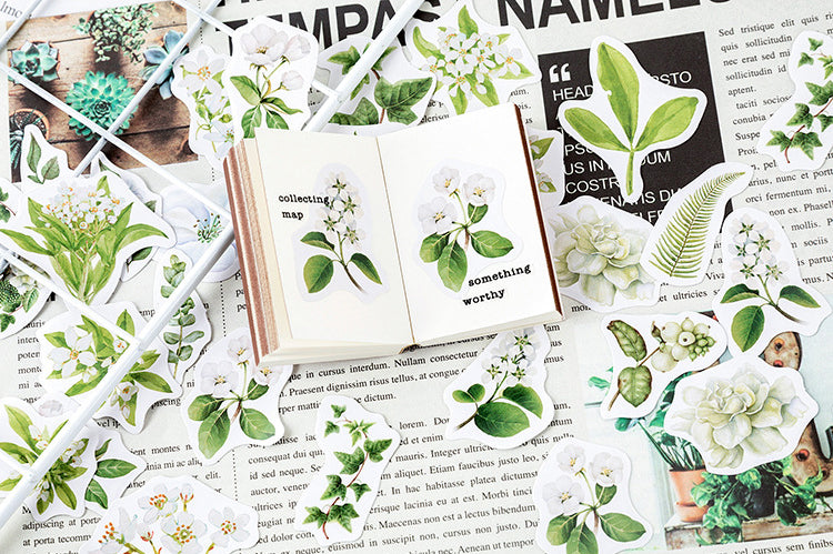 Gardenia Flowers Box Sticker Set