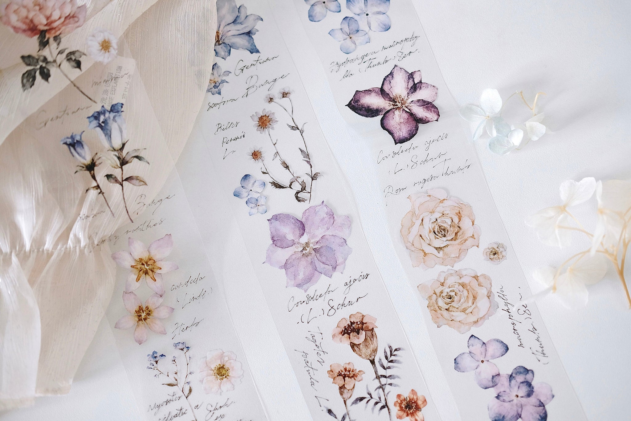 Freckles Tea Tape: Illustrated Flowers Handbook