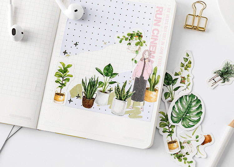 House Plants Box Sticker Set