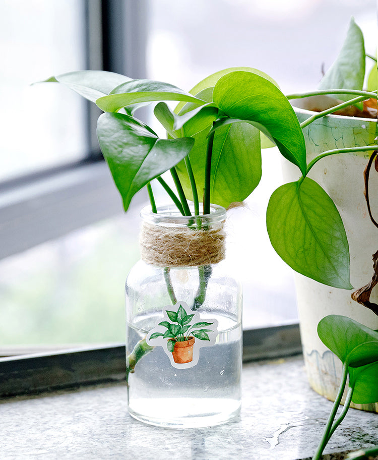 House Plants Box Sticker Set