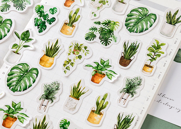 House Plants Box Sticker Set