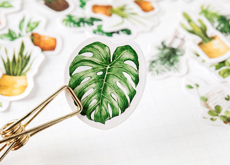 House Plants Box Sticker Set