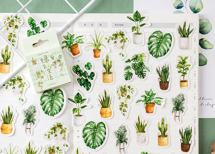 House Plants Box Sticker Set