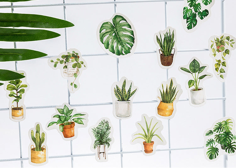House Plants Box Sticker Set