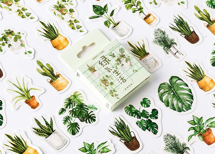 House Plants Box Sticker Set