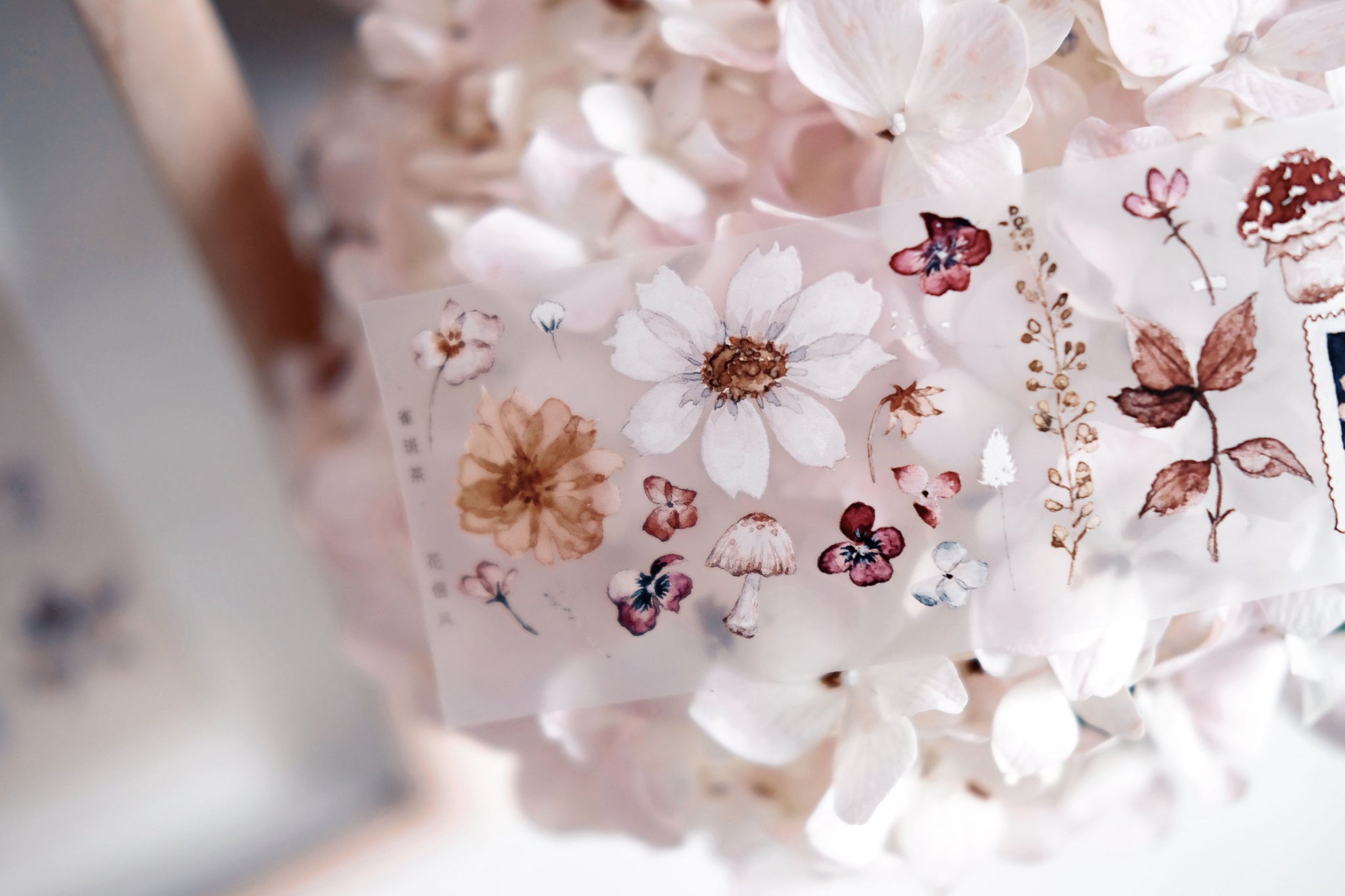 Freckles Tea Tape: Flower Greetings