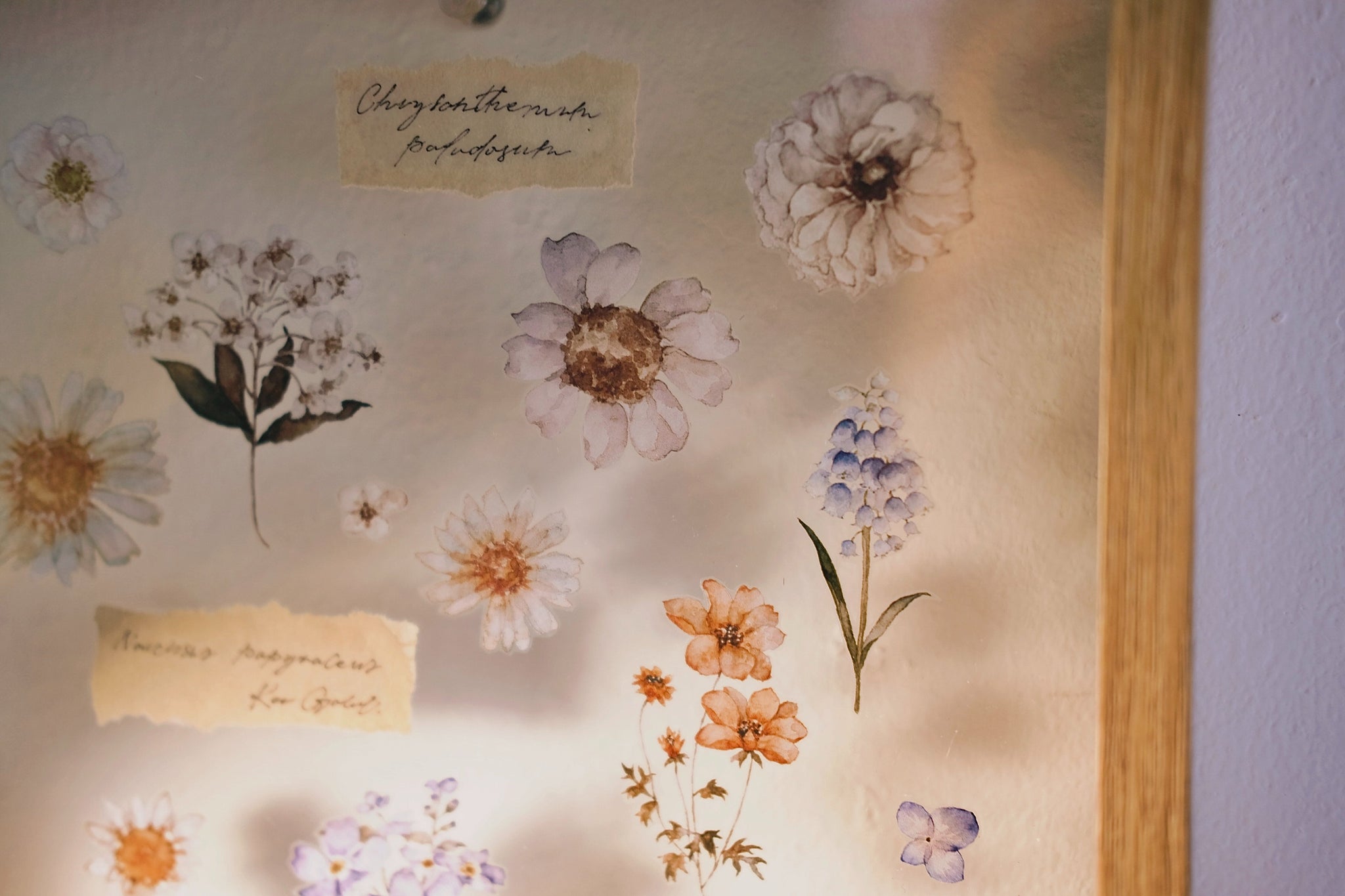 Freckles Tea Tape: Illustrated Flowers Handbook