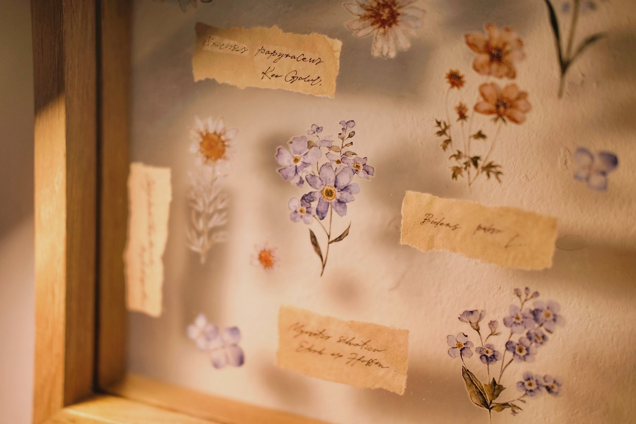 Freckles Tea Tape: Illustrated Flowers Handbook