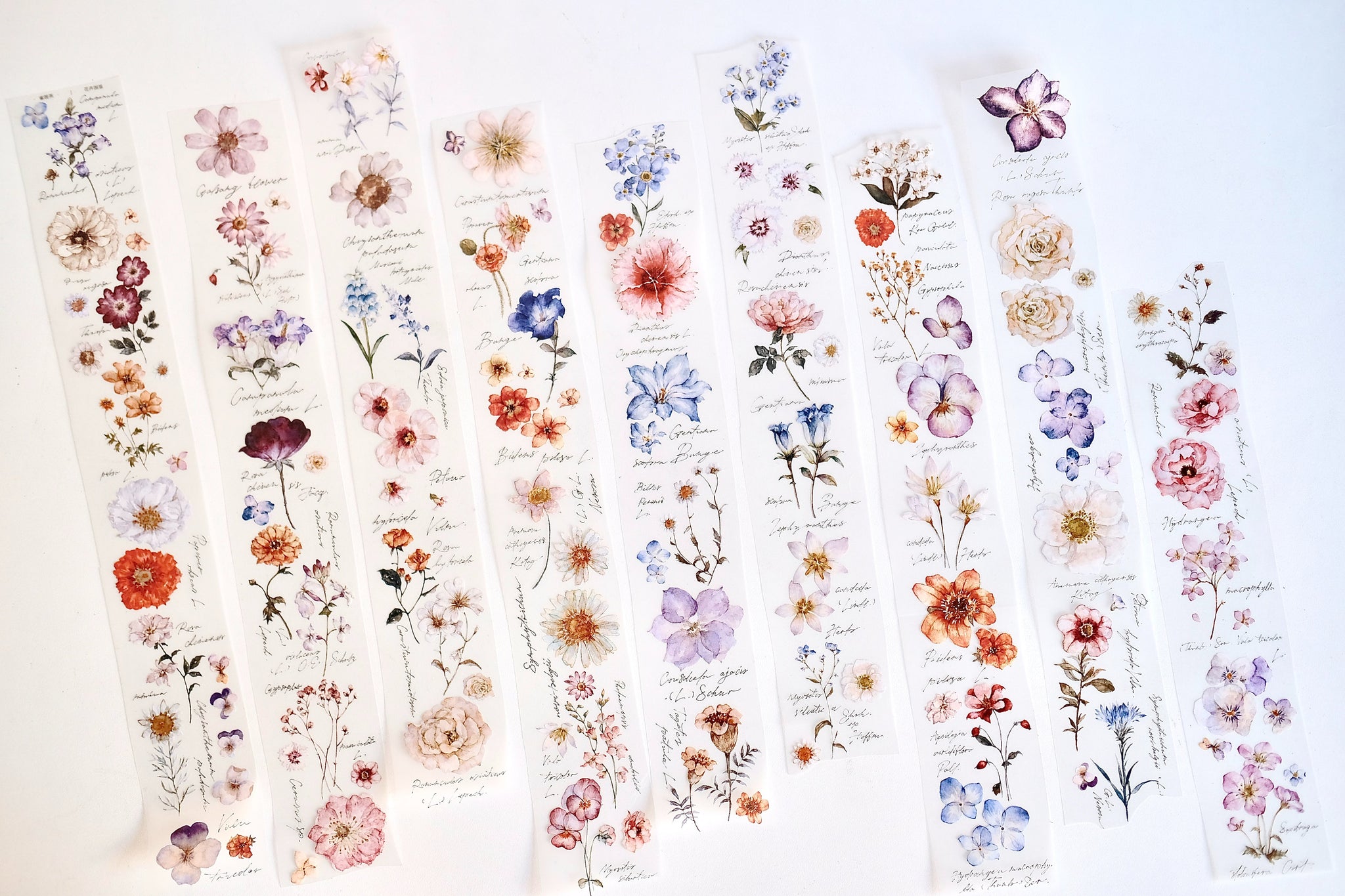 Freckles Tea Tape: Illustrated Flowers Handbook