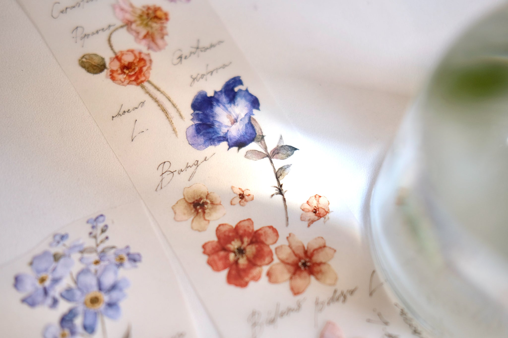 Freckles Tea Tape: Illustrated Flowers Handbook