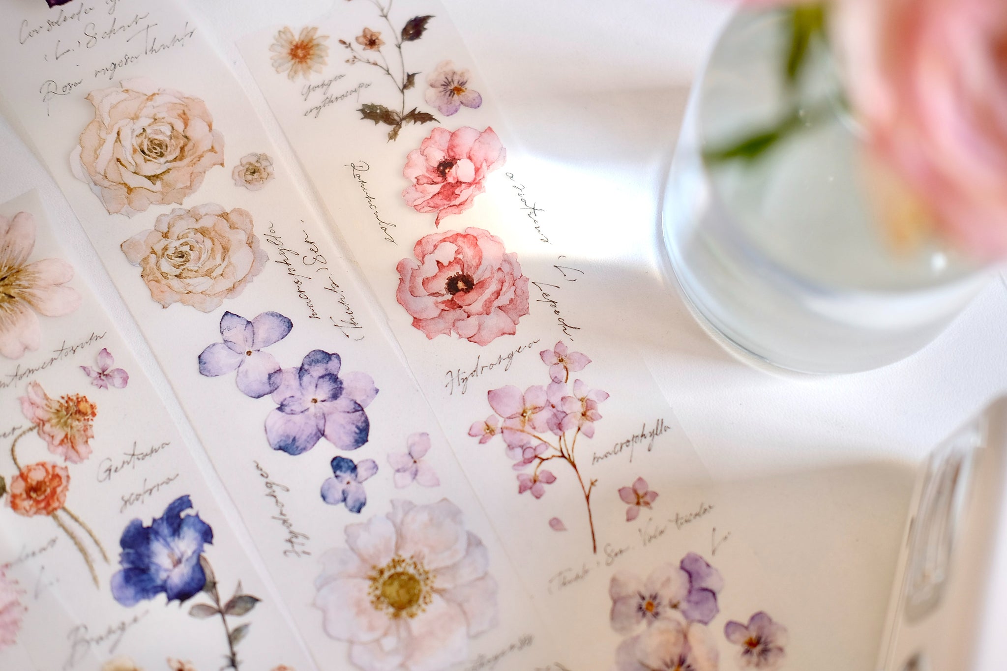 Freckles Tea Tape: Illustrated Flowers Handbook