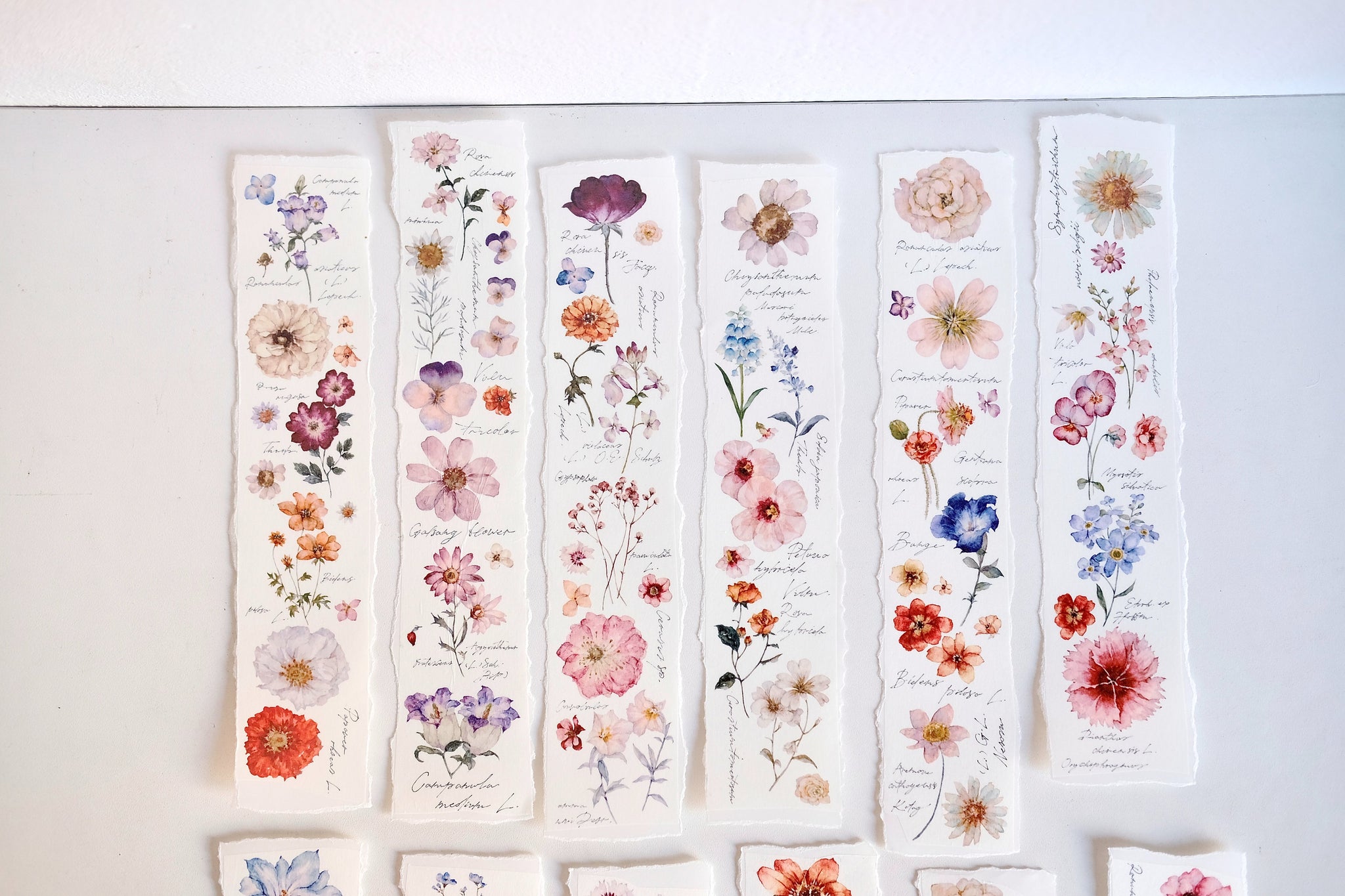 Freckles Tea Tape: Illustrated Flowers Handbook