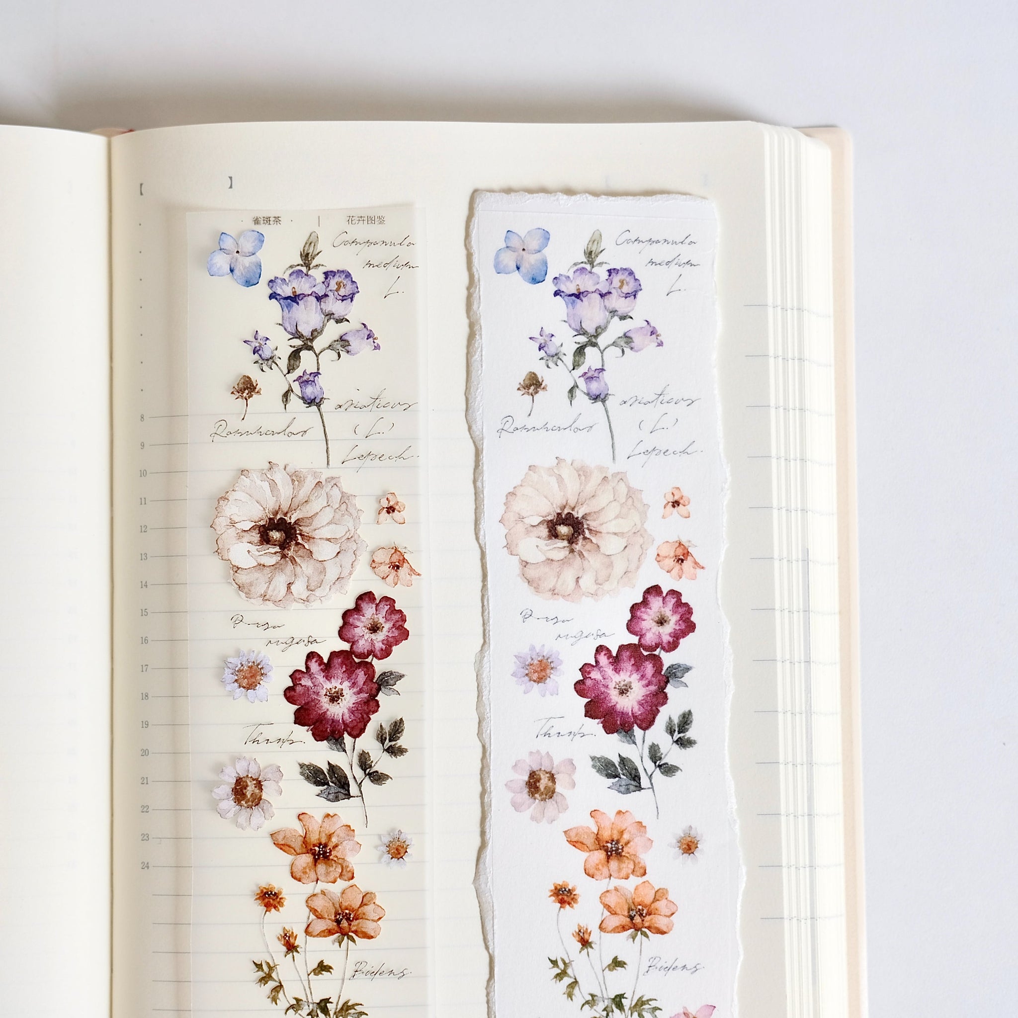 Freckles Tea Tape: Illustrated Flowers Handbook