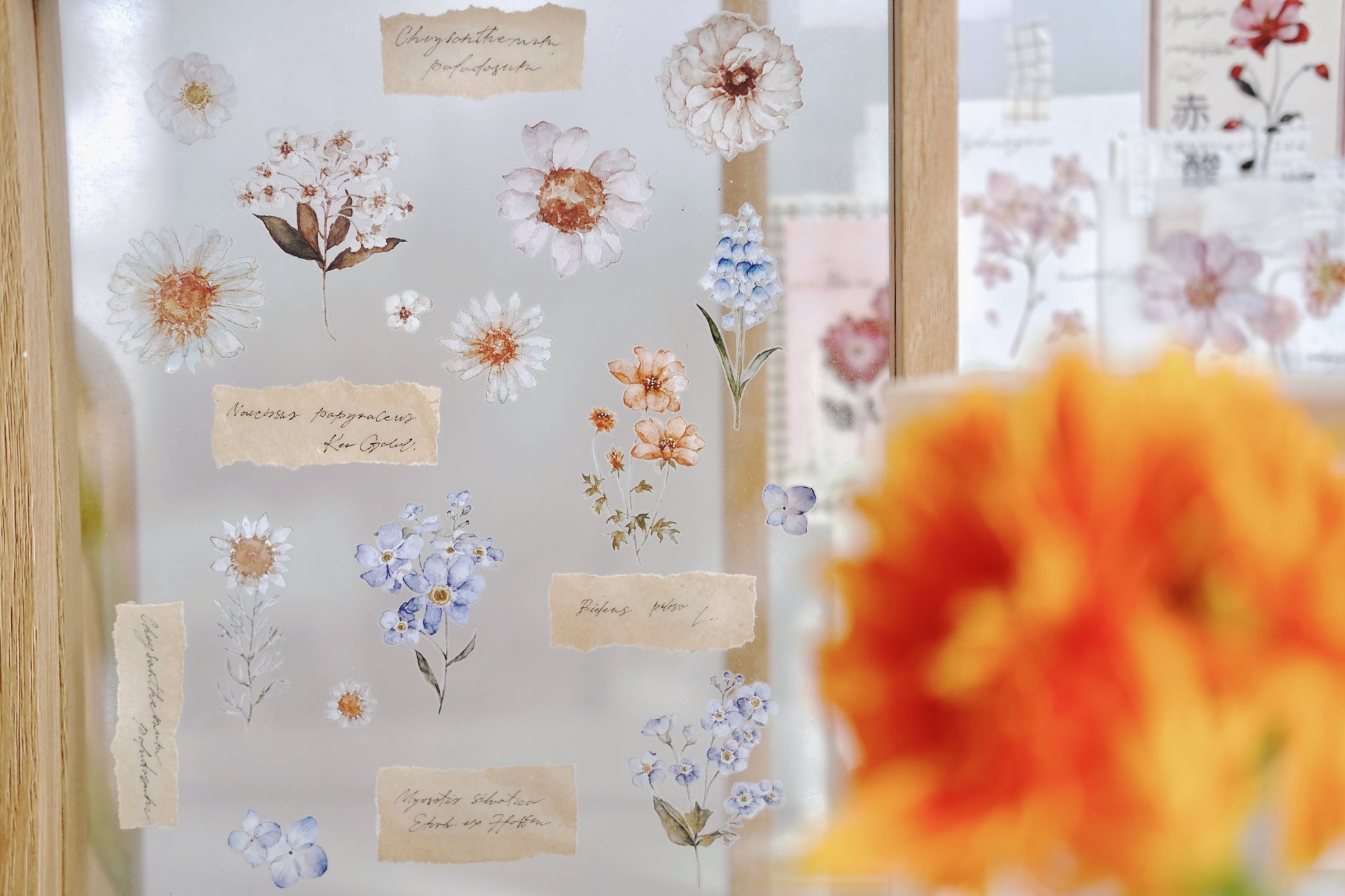 Freckles Tea Tape: Illustrated Flowers Handbook