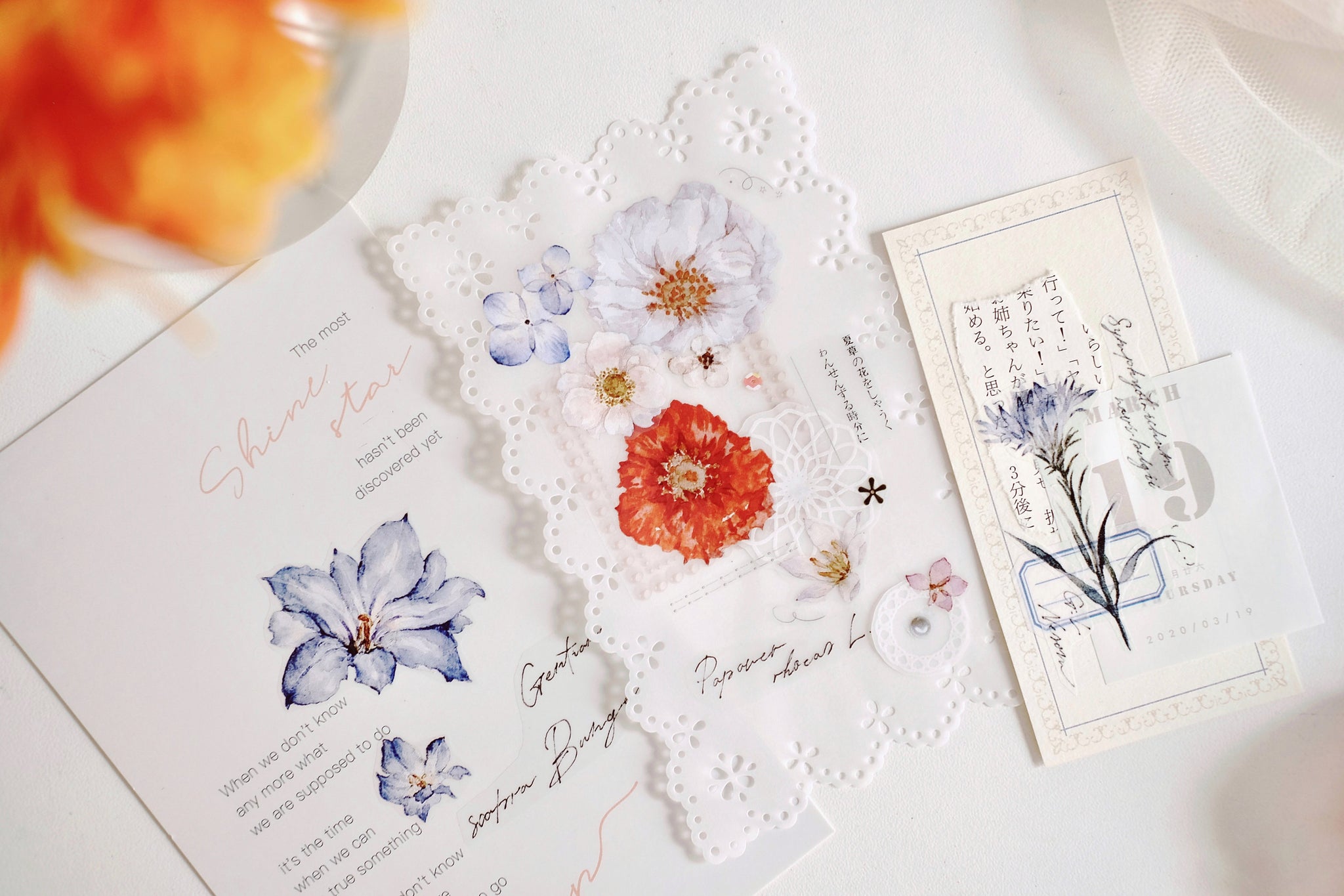 Freckles Tea Tape: Illustrated Flowers Handbook